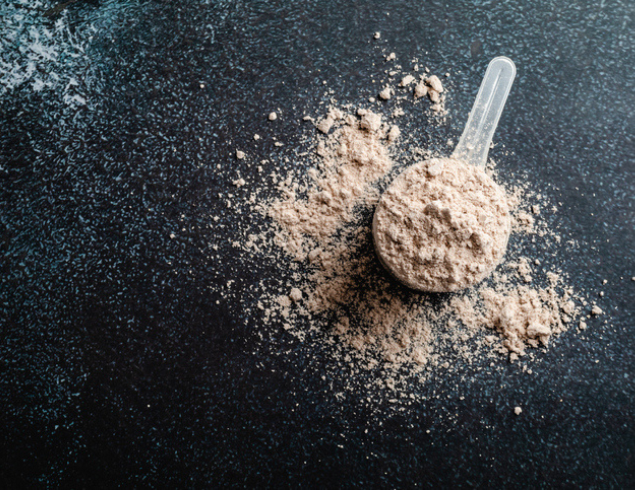 Les protéines sous la loupe