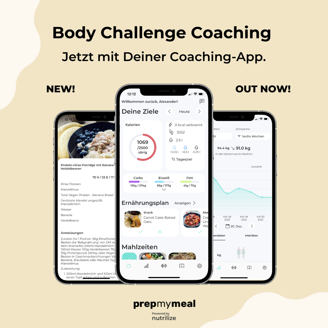 Muskelaufbau Body Challenge 2024